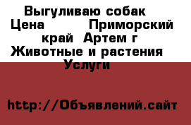 Выгуливаю собак! › Цена ­ 500 - Приморский край, Артем г. Животные и растения » Услуги   